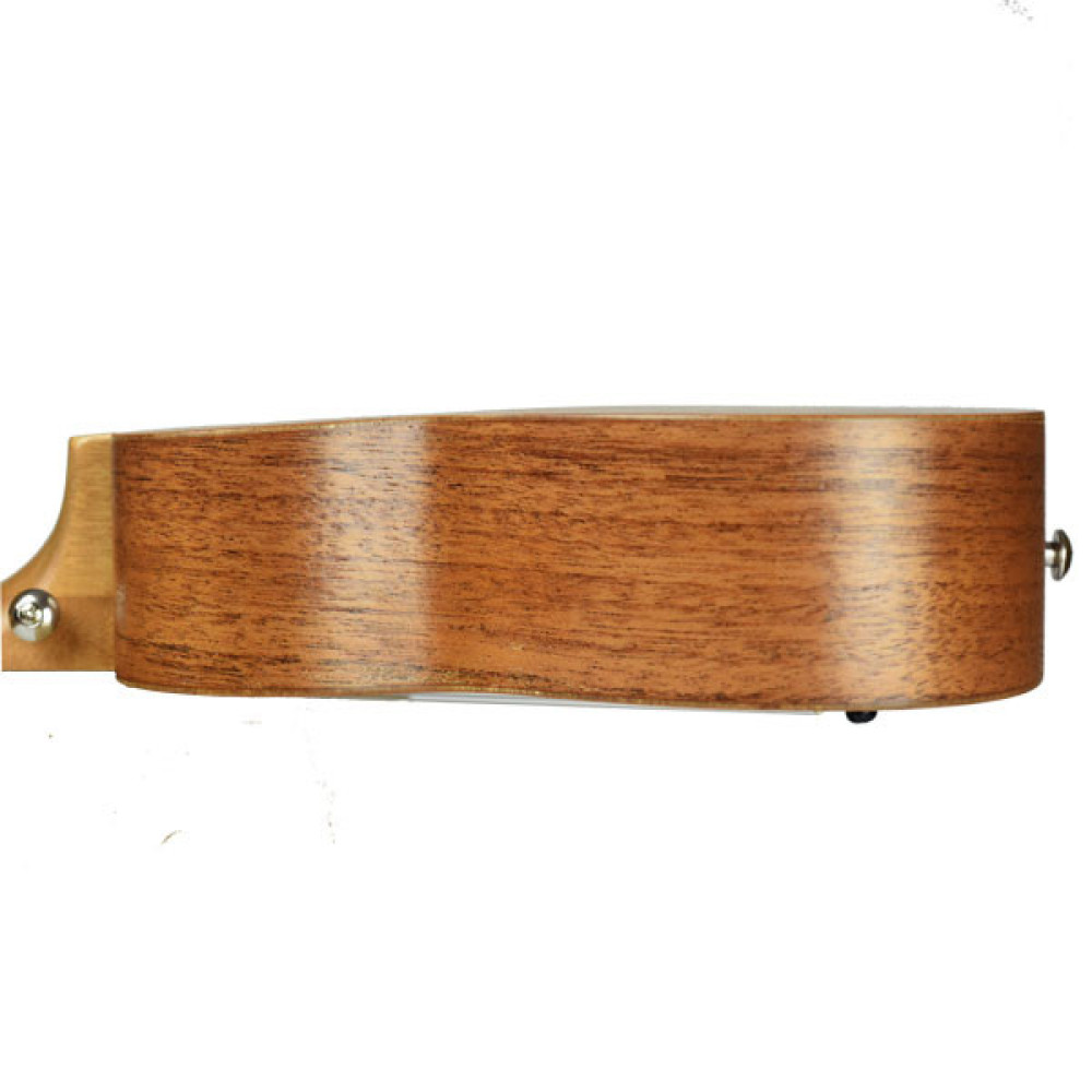 Tetra Soprano Ukulele Shop School Supplier